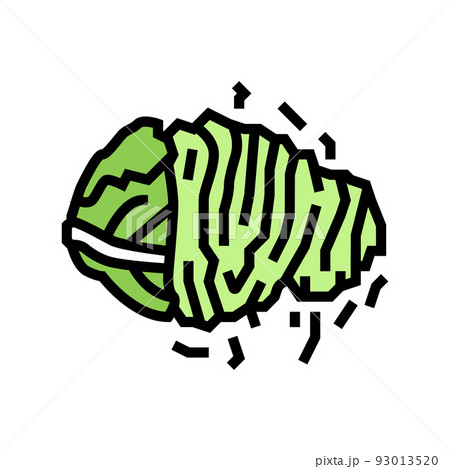 chopped cabbage color icon vector illustration chopped cabbage color icon vector illustration 93013520