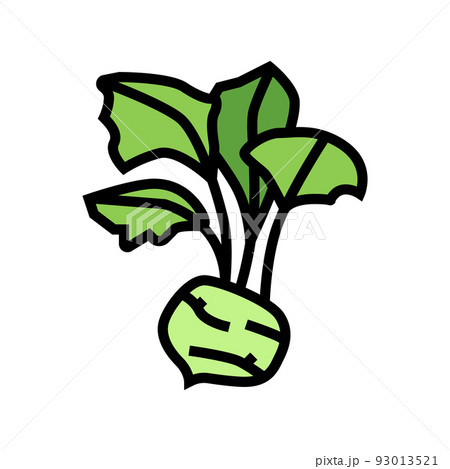 kohlrabi cabbage color icon vector illustration kohlrabi cabbage color icon vector illustration 93013521