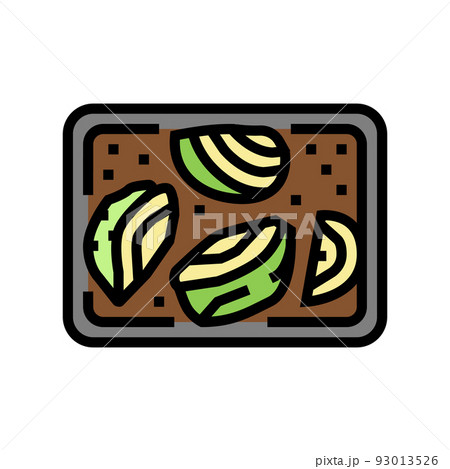 roasted cabbage color icon vector illustration roasted cabbage color icon vector illustration 93013526