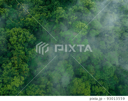 Aerial view of beautiful forest mountain landscape 93013559