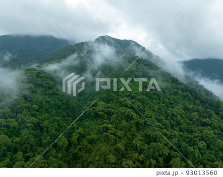 Aerial view of beautiful forest mountain landscape 93013560