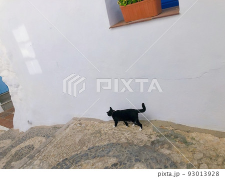 【スペイン】フリヒリアナの旧市街を歩く白黒猫の後ろ姿 93013928