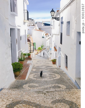 【スペイン】フリヒリアナの旧市街を歩く白黒猫の後ろ姿 【スペイン】フリヒリアナの旧市街を歩く白黒猫の後ろ姿 93013937