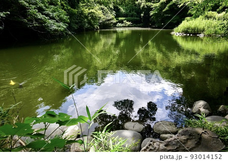 東京大学三四郎池 93014152