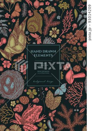 Mysterious forest pattern card design. Hand drawn waxwing, snail, nest, pool frog, moss, spruce branch, pine cones, chamomile, insect, aspen mushroom, red currant, oak, ginkgo, rowan, forget me not 93014209