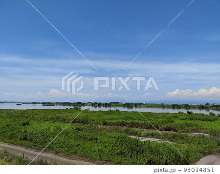 夏の青空と白い雲と利根川河川敷（行田市） 93014851