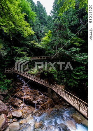 岐阜県中津川市の竜神の滝 岐阜県中津川市の竜神の滝 93015520