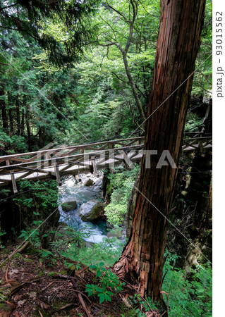 岐阜県中津川市の竜神の滝 岐阜県中津川市の竜神の滝 93015562
