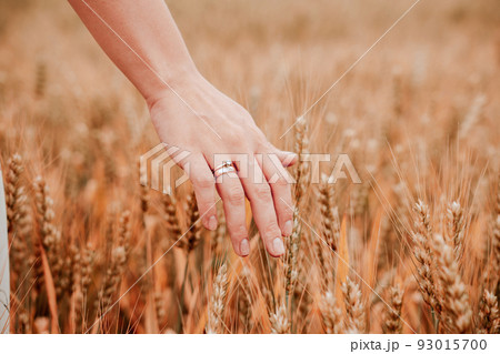 Wheat sprouts field. Young woman on cereal field touching ripe wheat spikelets by hand. Harvest and gold food agriculture concept. Wheat sprouts field. Young woman on cereal field touching ripe wheat spikelets by hand. Harvest and gold food agriculture concept. 93015700