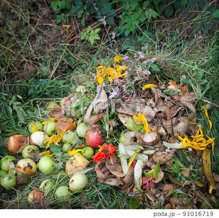 Compost heap in the garden Compost heap in the garden 93016719