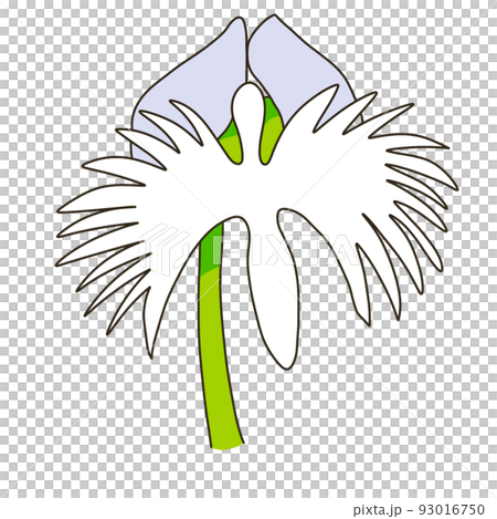 サギソウ サギソウ 93016750