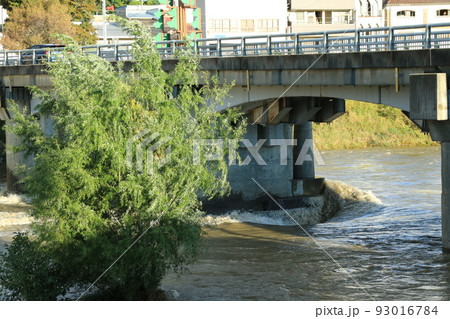 台風一過の天竜川(長野県伊那市) 93016784