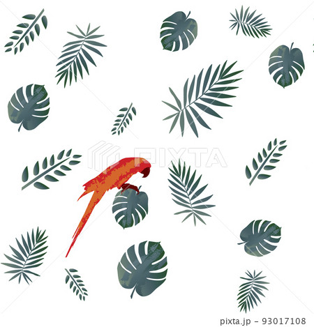 Macaw bird and tropical green leaf pattern background Macaw bird and tropical green leaf pattern background 93017108
