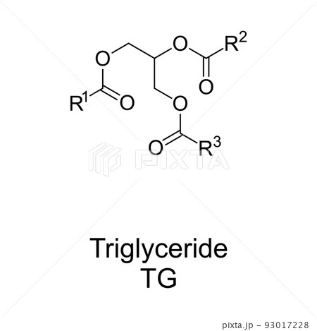 Triglyceride chemical structure. Also triacylglycerol or triacylglyceride, ester derived from glycerol and 3 fatty acids. Main constituents of body fat in humans, in vertebrates, and in vegetable fat. 93017228