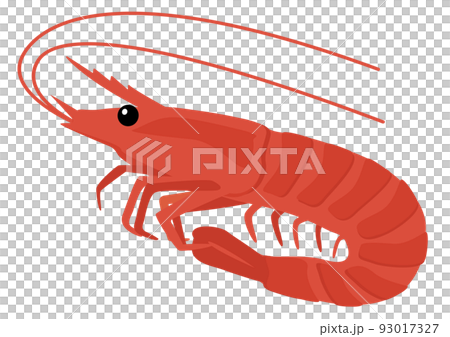 [Vector] Hand-drawn style illustration of a raw shrimp. A whole fresh red shrimp for sashimi, cutout material on a white background. 93017327
