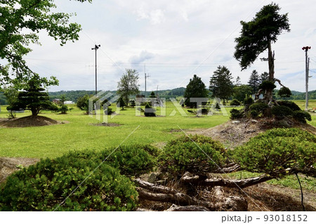 北竜町立美葉牛小学校の跡地 北竜町立美葉牛小学校の跡地 93018152