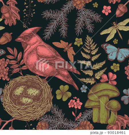 Mysterious forest seamless pattern background design. Engraved style. Hand drawn waxwing, nest, spruce branch, pine cones, insect, aspen mushroom, oak, rowan, forget me not flower, plain tiger, clover Mysterious forest seamless pattern background design. Engraved style. Hand drawn waxwing, nest, spruce branch, pine cones, insect, aspen mushroom, oak, rowan, forget me not flower, plain tiger, clover 93018461