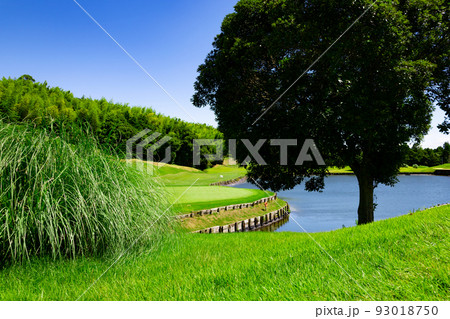 青空のゴルフ場・池越えグリーンのコースの眺め(千葉県木更津市) 青空のゴルフ場・池越えグリーンのコースの眺め(千葉県木更津市) 93018750