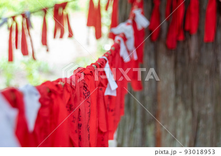 遠野市のパワースポット「卯子酉神社」#5 93018953