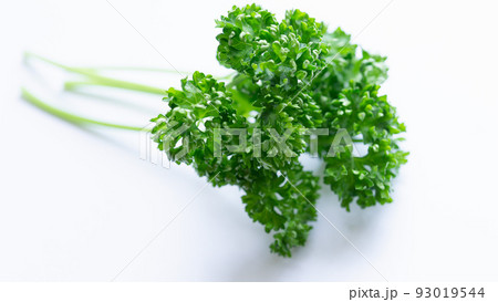 シンプルなパセリの背景画像 春 秋 ビタミン K A C E 白バック シンプルなパセリの背景画像 春 秋 ビタミン K A C E 白バック 93019544