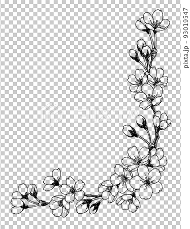 ペン画桜のフレーム素材 ペン画桜のフレーム素材 93019547