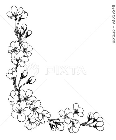 ペン画桜のフレーム素材 93019548