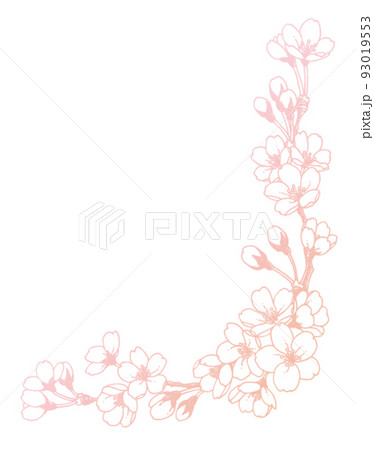 ペン画桜のフレーム素材 93019553
