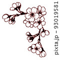 ペン画桜のフレーム素材 93019581