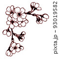 ペン画桜のフレーム素材 93019582