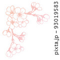 ペン画桜のフレーム素材 93019583