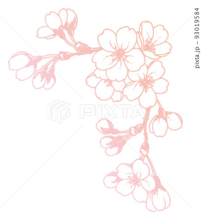 ペン画桜のフレーム素材 93019584