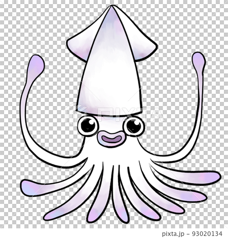 Squid illustration watercolor style 93020134