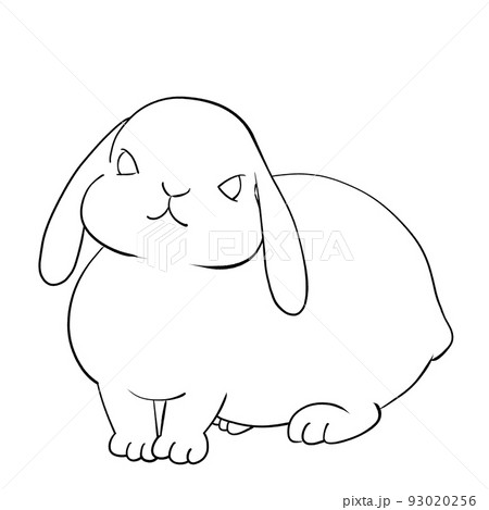 ウサギ ロップイヤー ぬり絵(線画) ウサギ ロップイヤー ぬり絵(線画) 93020256
