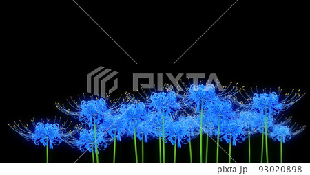 青い彼岸花 ヒガンバナ 曼珠沙華 イラスト リアルのイラスト素材