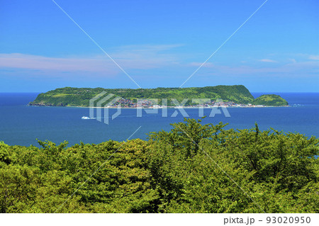 山口県萩市の萩六島から大島 93020950