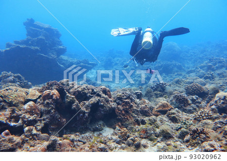 ダイバー 潜水夫 珊瑚礁 93020962