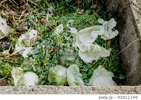 Compost pit for food waste. Eco-friendly consumption, recycling. Concept of organic fertilizers for garden. 93021249