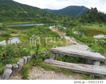 草津白根山弓池園地 草津白根山弓池園地 93021543