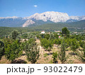 Mountain landscape 93022479