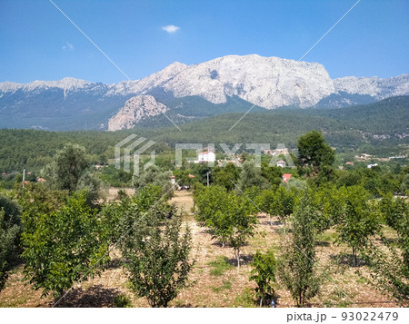 Mountain landscape 93022479