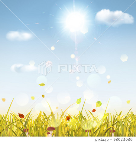 Autumn background with grass, mushrooms, sun and clouds 93023036