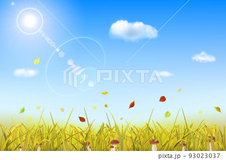 Autumn background with grass, mushrooms, sun and clouds 93023037