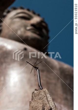 Small dragonfly insect sitting near blurred buddha statue. Small dragonfly insect sitting near blurred buddha statue. 93023910