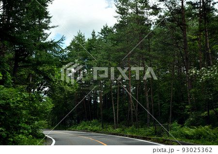 高原のさわやかな道 高原のさわやかな道 93025362