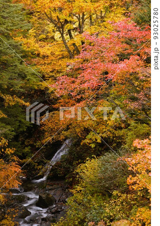 紅葉と滝 紅葉と滝 93025780
