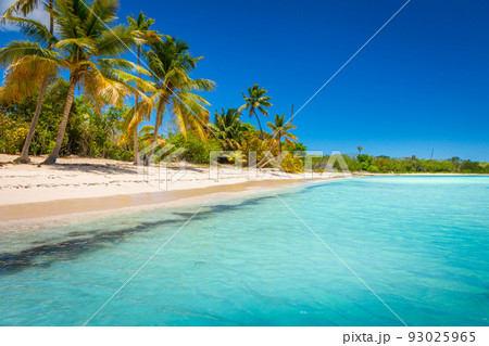 Tropical paradise: turquoise beach in Punta Cana, Caribbean, Dominican Republic 93025965