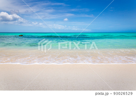 Idyllic and translucent caribbean beach at sunny day in Aruba 93026529