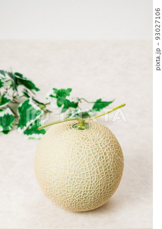 甘くて美味しいマスクメロン 網目が美しいメロンは贈答用に用いられる 甘くて美味しいマスクメロン 網目が美しいメロンは贈答用に用いられる 93027106
