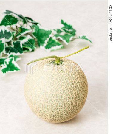 甘くて美味しいマスクメロン　網目が美しいメロンは贈答用に用いられる 93027108