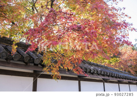 南禅寺 天授庵の紅葉 93027285